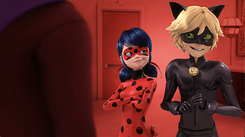 Miraculous Ladybug, Season 4, Important details HD wallpaper