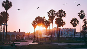 California sunset, , backgrounds, Golden hour HD wallpaper