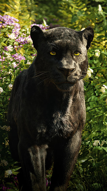 The Jungle Book (2022) movie HD phone wallpaper