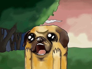 Adventure time, jack the dog, art, curious HD wallpaper