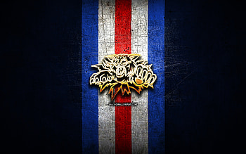 Moncton Wildcats, golden logo, QMJHL, blue metal background, canadian hockey team, Moncton Wildcats logo, hockey HD wallpaper