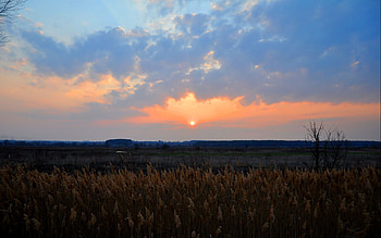Landscape, Sunset HD wallpaper