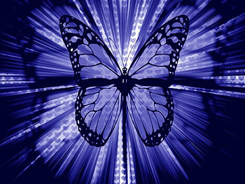 Striking Blue, blue, hearts, butterfly HD wallpaper