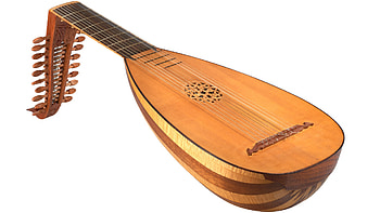 Lute guitar, Gimenez guitars, GG series, Stringed instrument HD wallpaper