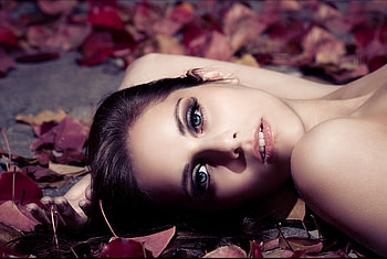 Beauty On A Bed Of Rose Petals, rose, model, roses, petals, brunette, woman, female HD wallpaper
