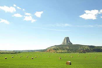 Devil's Tower, nature, fun, field, mountain HD wallpaper