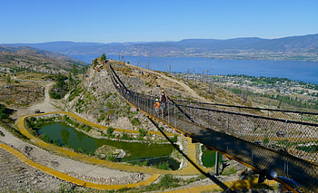 Kelowna Mountain Park Suspension Bridge, suspention bridge, trees, bridge, water, lake, mountain HD wallpaper