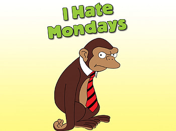 mondays, hate, monkey HD wallpaper