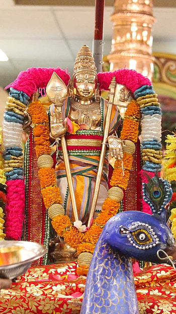 Thiruchendur Murugan, Temple Background HD phone wallpaper