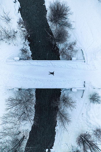 Winter, Nature, Snow, View From Above, Human, Person HD phone wallpaper