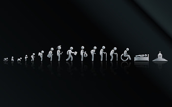 Life Cycle Artwork, life, cycle, artwork HD wallpaper
