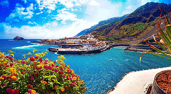 Tenerife, Things to do, Fish insurance HD wallpaper