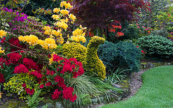 Walsall Garden, Staffordshire, England, lawn, plants, colors, flowers, spring HD wallpaper