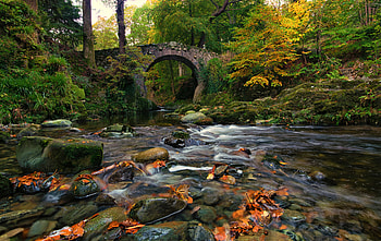 Rocks, bridge, river, nature HD wallpaper