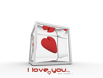 i love you, valentine, heart, love, red HD wallpaper