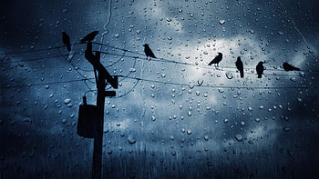 .com/nature/ocean-beach-rain-storm- HD wallpaper