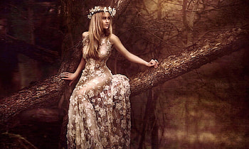 Woman Sitting on a Limb, Delicate, blonde, Woman, feminine, lace, enchanting, tree, browns, sensual, gown HD wallpaper