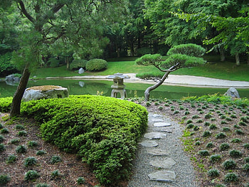 Lovely garden, trees, grass, green HD wallpaper