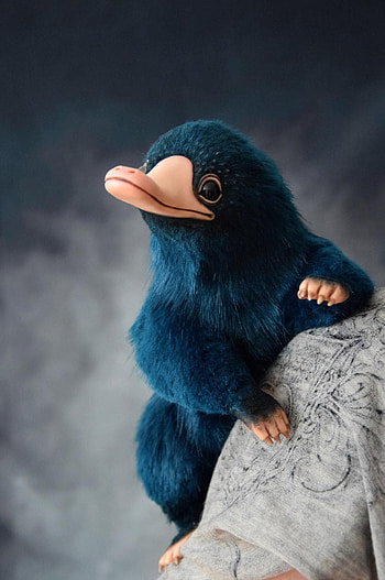 Niffler, Fantastic Beasts HD phone wallpaper