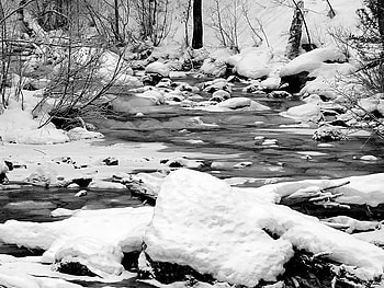 Snowy Creek, creek, water, snow, tree HD wallpaper