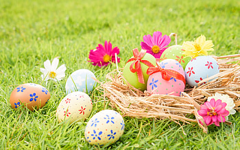 Happy Easter!, egg, pink, pasti, flower, green, easter, grass, nest HD wallpaper