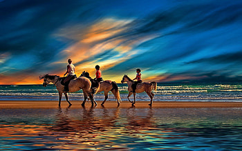 Horseback , Equitation, Equestrian, Horse riding HD wallpaper