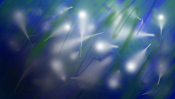Abstract, Lines, Blur, Smooth HD wallpaper