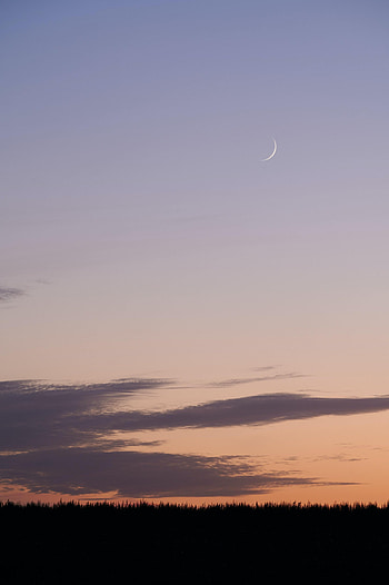 Nature, Grass, Clouds, Moon, Evening HD phone wallpaper