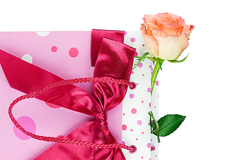 Bag with rose, rose, present, bag, bow HD wallpaper