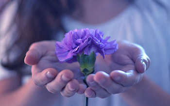 Palms, Flower, Macro, Palm, Hands, Stem, Stalk HD wallpaper
