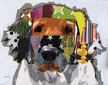 Dog Collage, animal collage, dogs, puppies, golden retriever, collage HD wallpaper