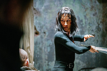 Maggie Q, Star of The Protg, Action film, Jackie Chan HD wallpaper