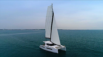 Catamaran, Cat sale, Discounts offered, Exclusive deals HD wallpaper