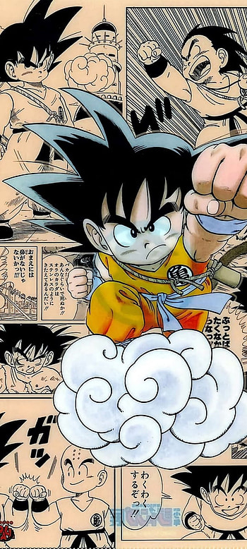 Goku Pequeño, goku1, akira07 HD phone wallpaper