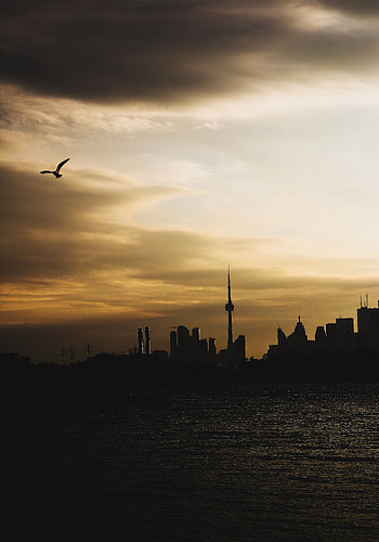 Water, City, Building, Dark, Coast HD phone wallpaper