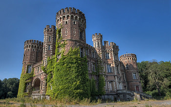 deserted castle, grass, medievil, castle, tree HD wallpaper