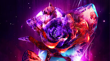 Rose Abstract , abstract, rose, artist, artwork, digital-art, behance HD wallpaper