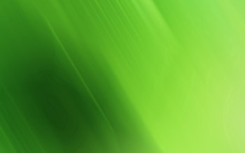 Abstract, Bright, Solid, Matt, Mat HD wallpaper