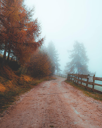 Nature, Road, Fog, Fence, Dahl, Distance HD phone wallpaper