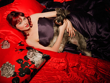 Sophie Ellis Bextor and friend, dog, ellis, michelle, sophie, babe, lady, brown, lips, buffy, sexy, brunette, bextor, eyes, hot, girl, slayer, beautiful, vampire, woman, scottie, trachtenberg, face, the, hair, legs HD wallpaper
