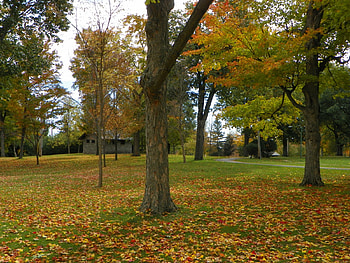 fall upstate ny, leaves, fall, trees, autum, ny HD wallpaper