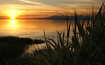 Sunset for Next Day, sea, , nature, grass, water, sun, sunset, evening HD wallpaper