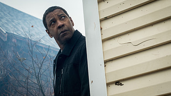 Denzel Washington, Equalizer , cat HD wallpaper