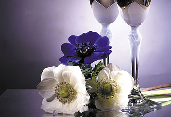 Something Special, table, white, stems, setting, glass ware, tall, purple, still life, elegant, silver, flowers HD wallpaper