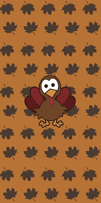 Turkey, Thanksgiving HD phone wallpaper