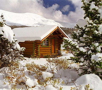 Covered in Snow, winter, wooden, heavy, snow, house, beautiful, tree HD wallpaper