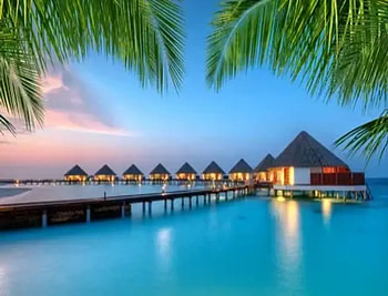 The Maldives, The ocean, Paradise, Resorts, Palm trees HD wallpaper