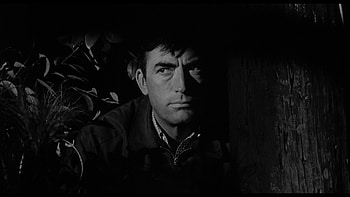 Gregory Peck, Cape Fear, 1962 HD wallpaper