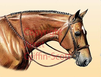 Horse Drawing, wildlife, horse paintings, animals, nature, horse drawings HD wallpaper