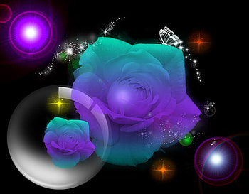 Dreamy World, lens, roses, lights, nature, flowers, sparkles, bubbles HD wallpaper